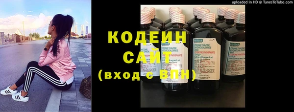 индика Абинск