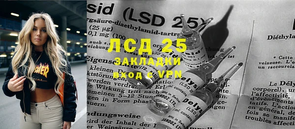 индика Абинск
