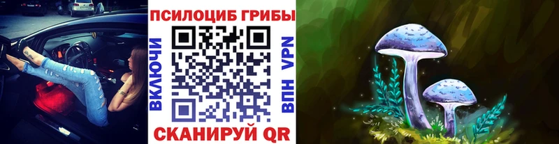 Галлюциногенные грибы прущие грибы где найти Орск