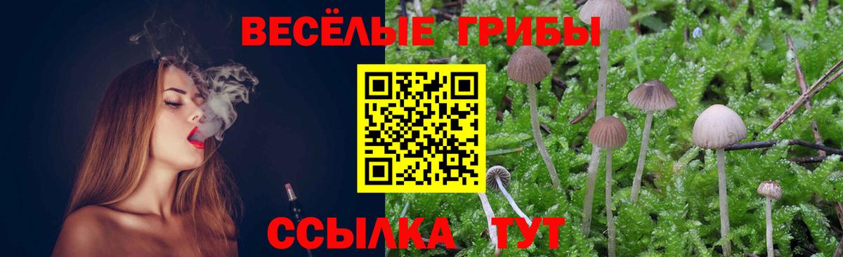 Орск  Псилоцибиновые грибы ЛСД  Галлюциногенные грибы Magic Shrooms  Вход с VPN 